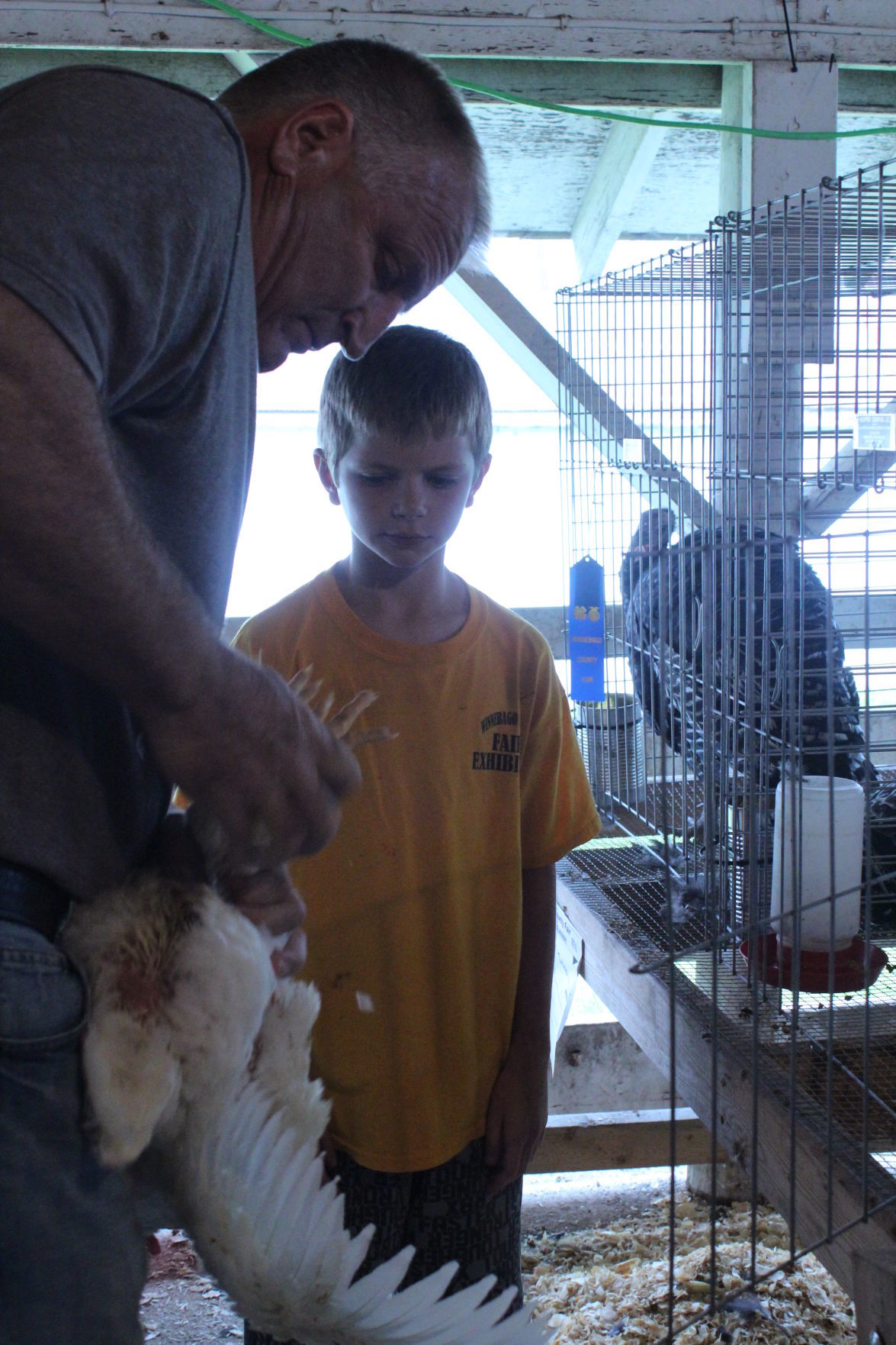 Poultry Show 11